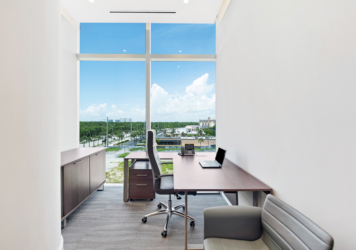 Image Title